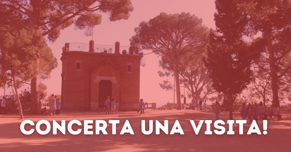 Concerta una visita_cat.png